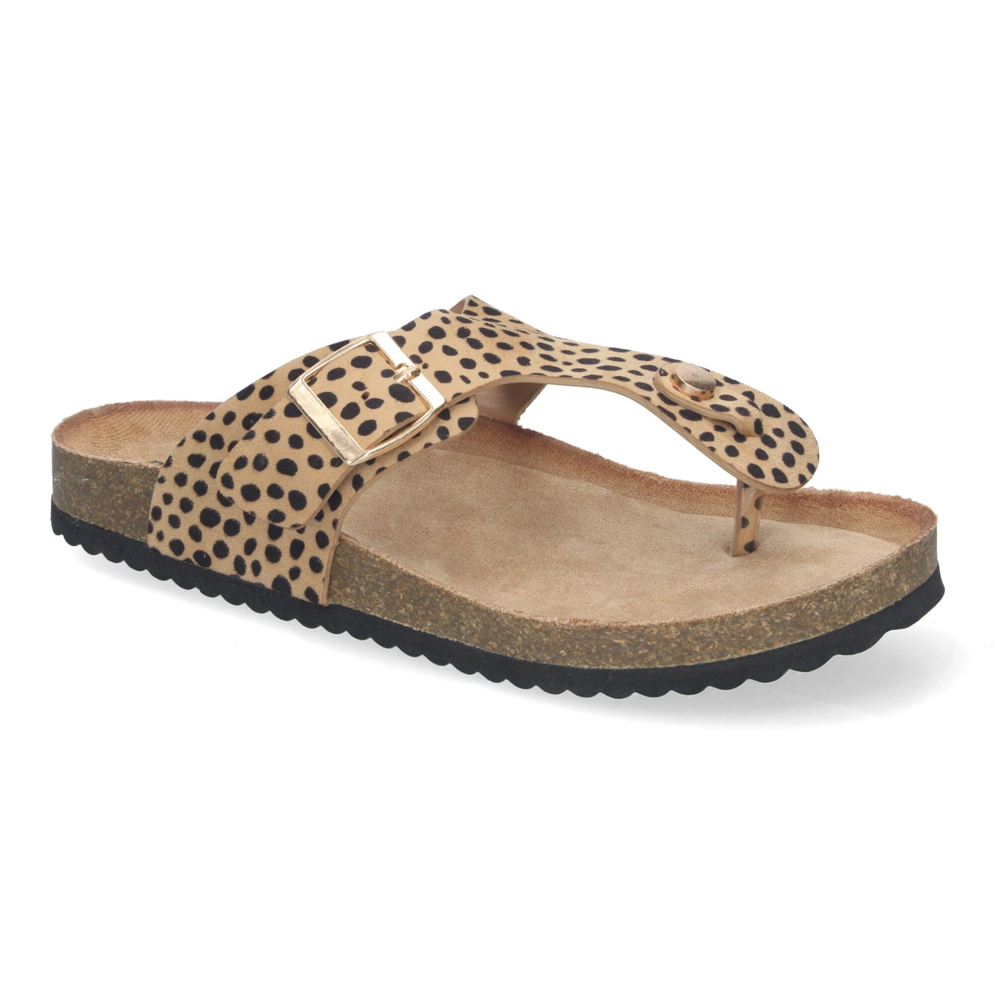 1A-1618-Leopardo