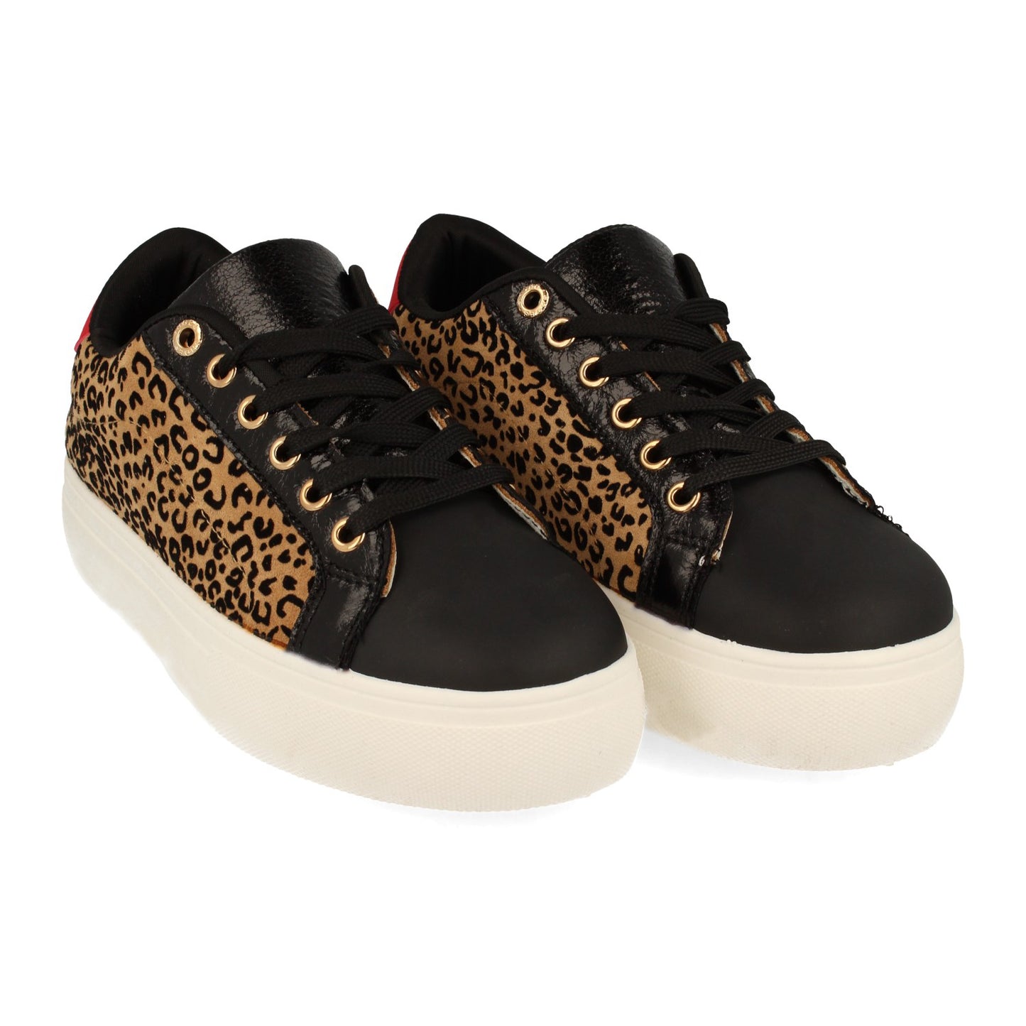 1AD-0438-Leopardo