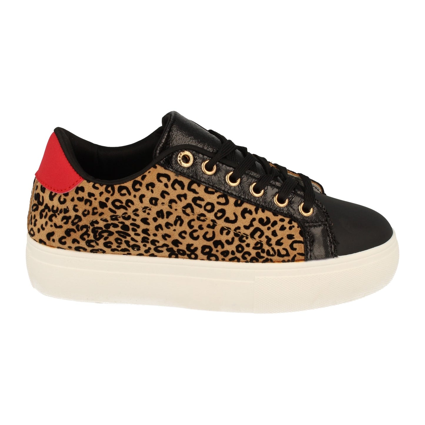 1AD-0438-Leopardo