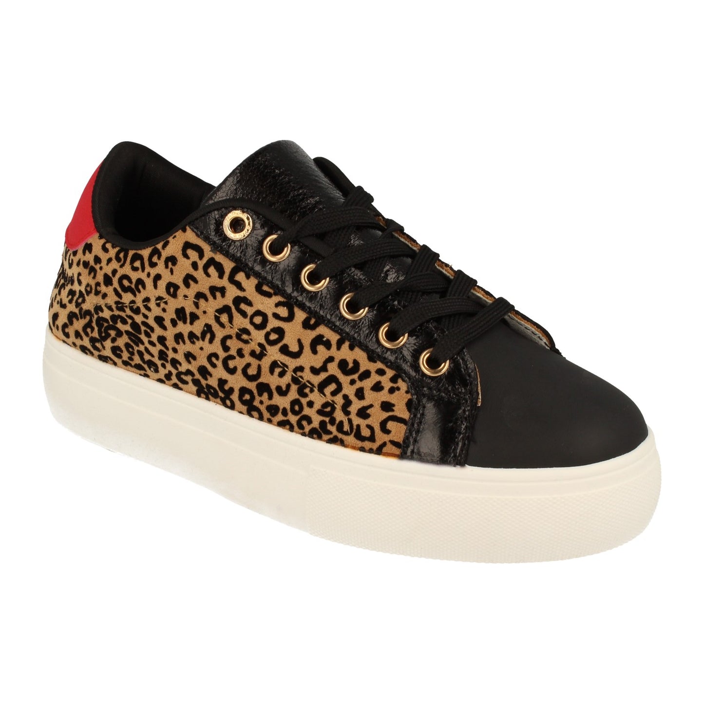 1AD-0438-Leopardo