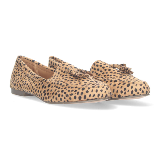 1AS-0170-Leopardo