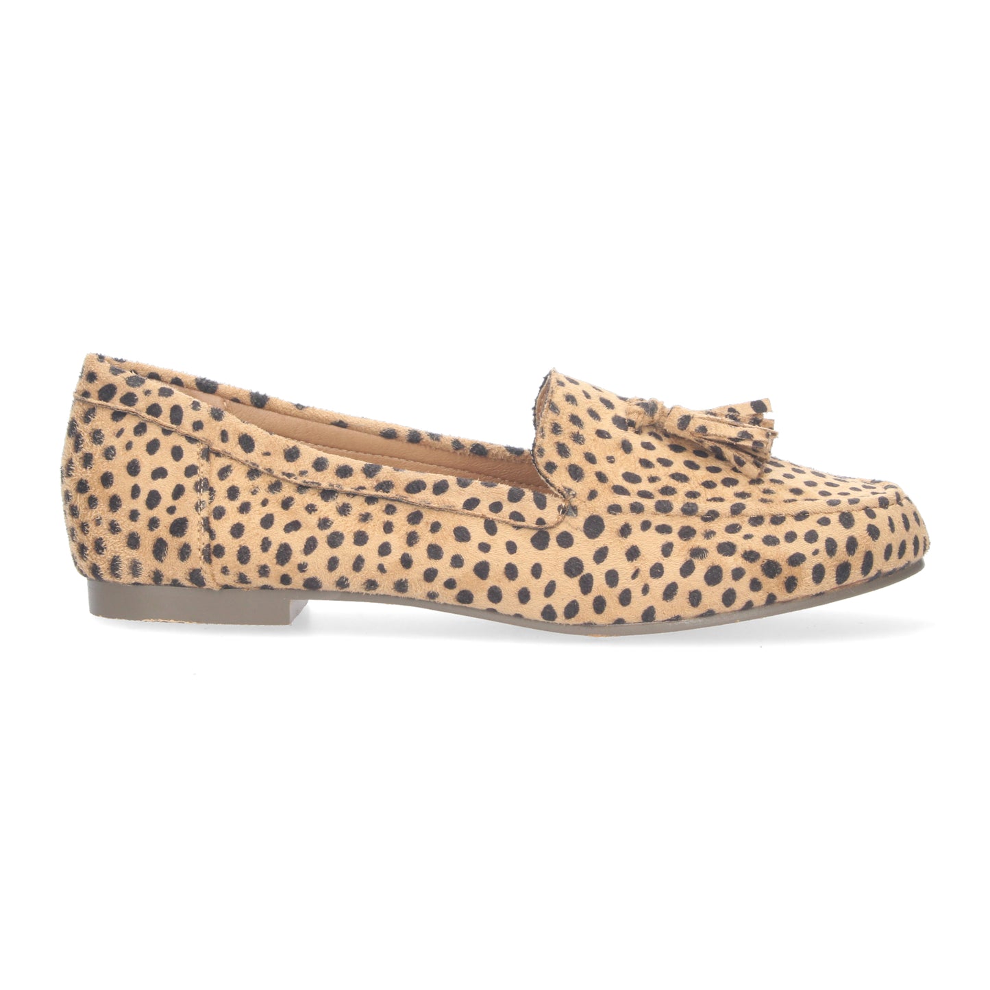 1AS-0170-Leopardo