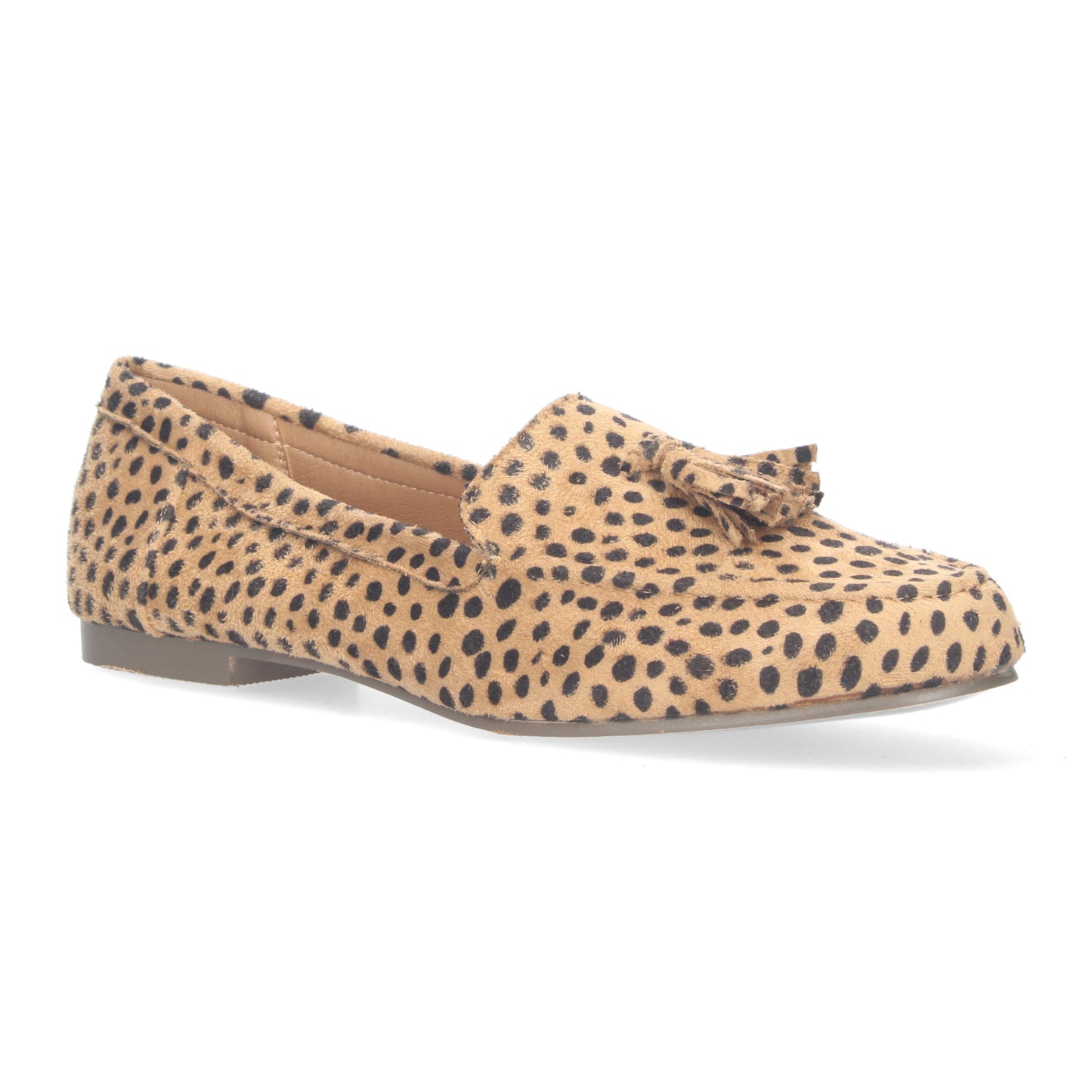 1AS-0170-Leopardo