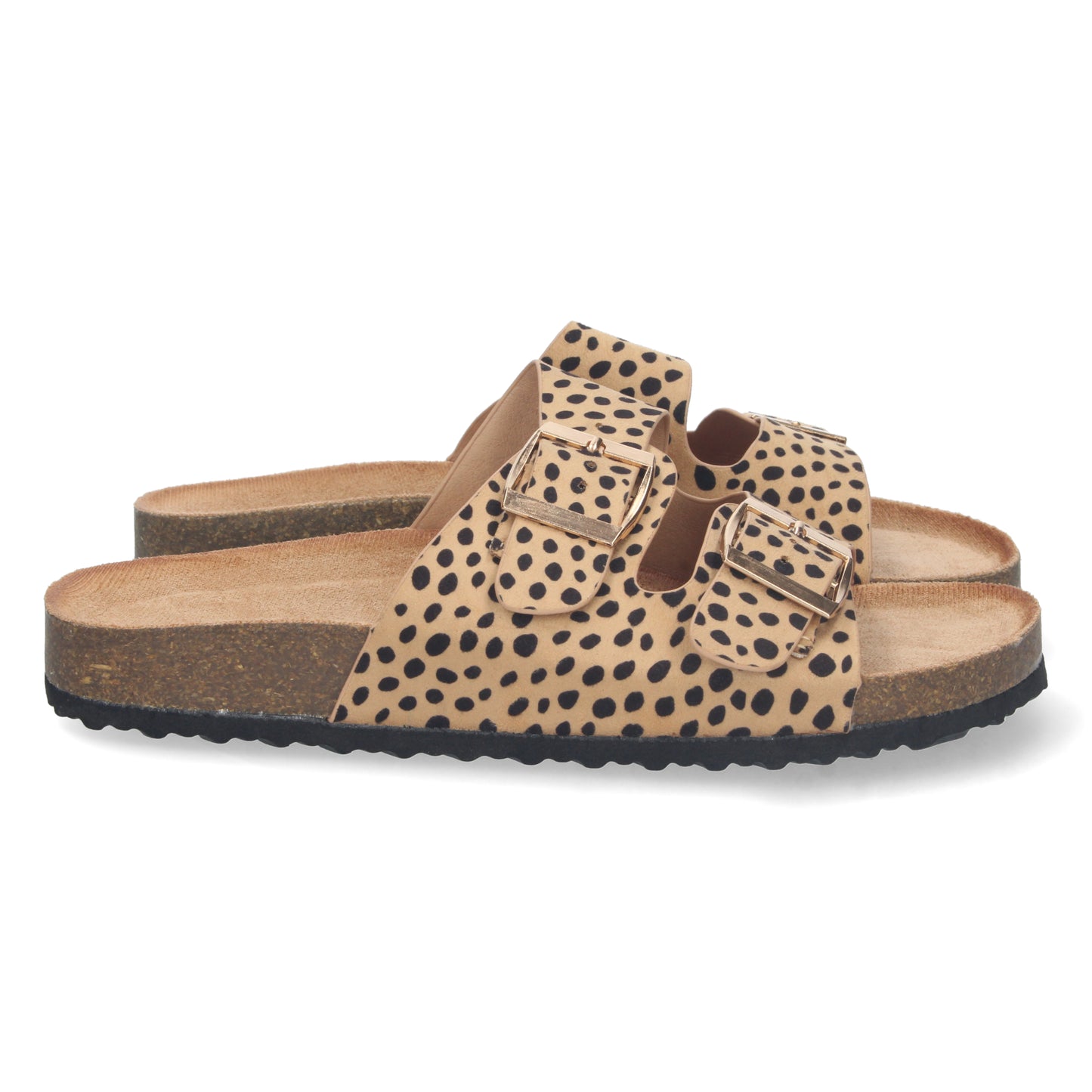 1AY-1056-Leopard