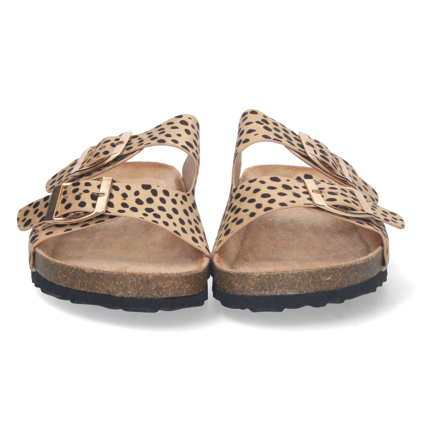 1AY-1056-Leopard