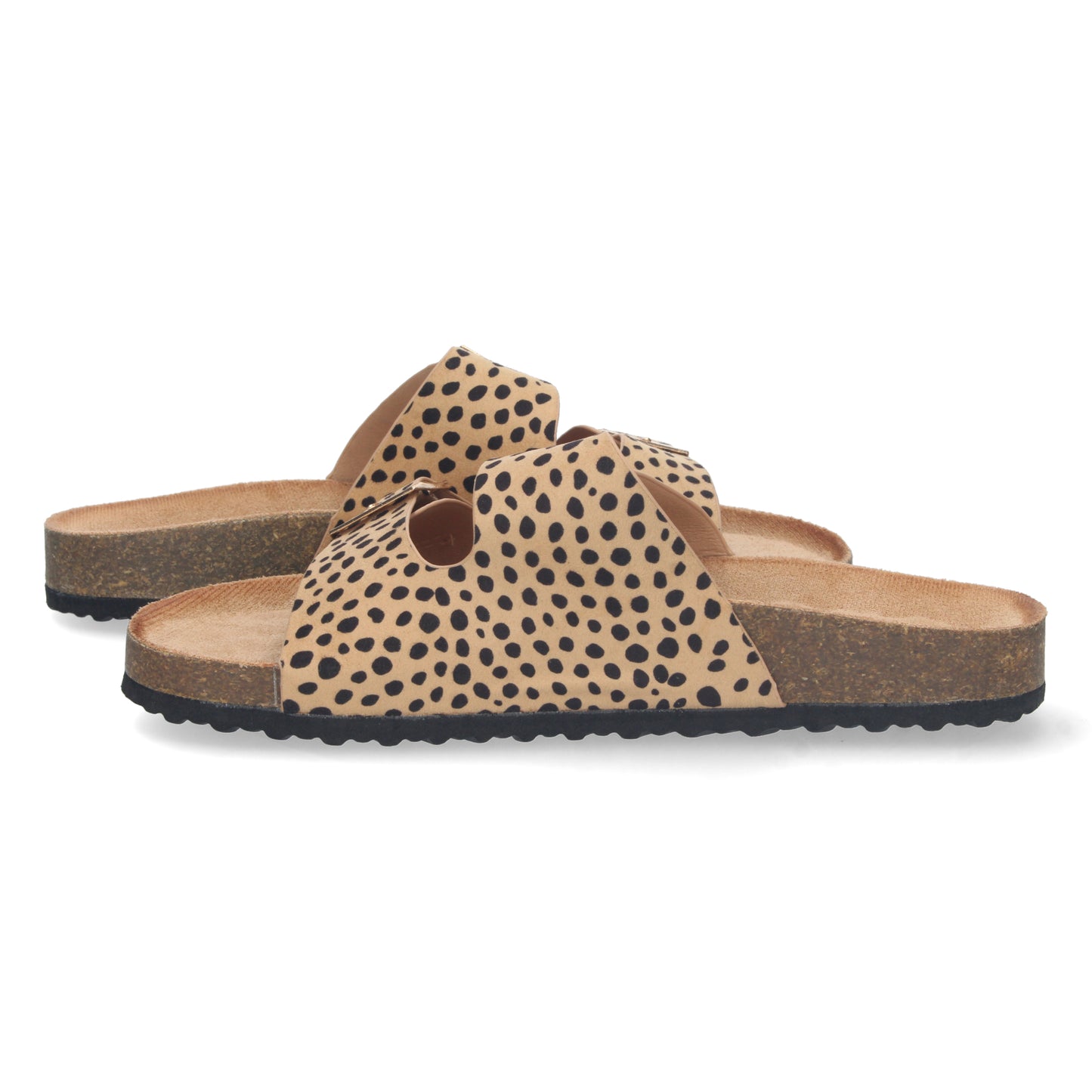 1AY-1056-Leopard