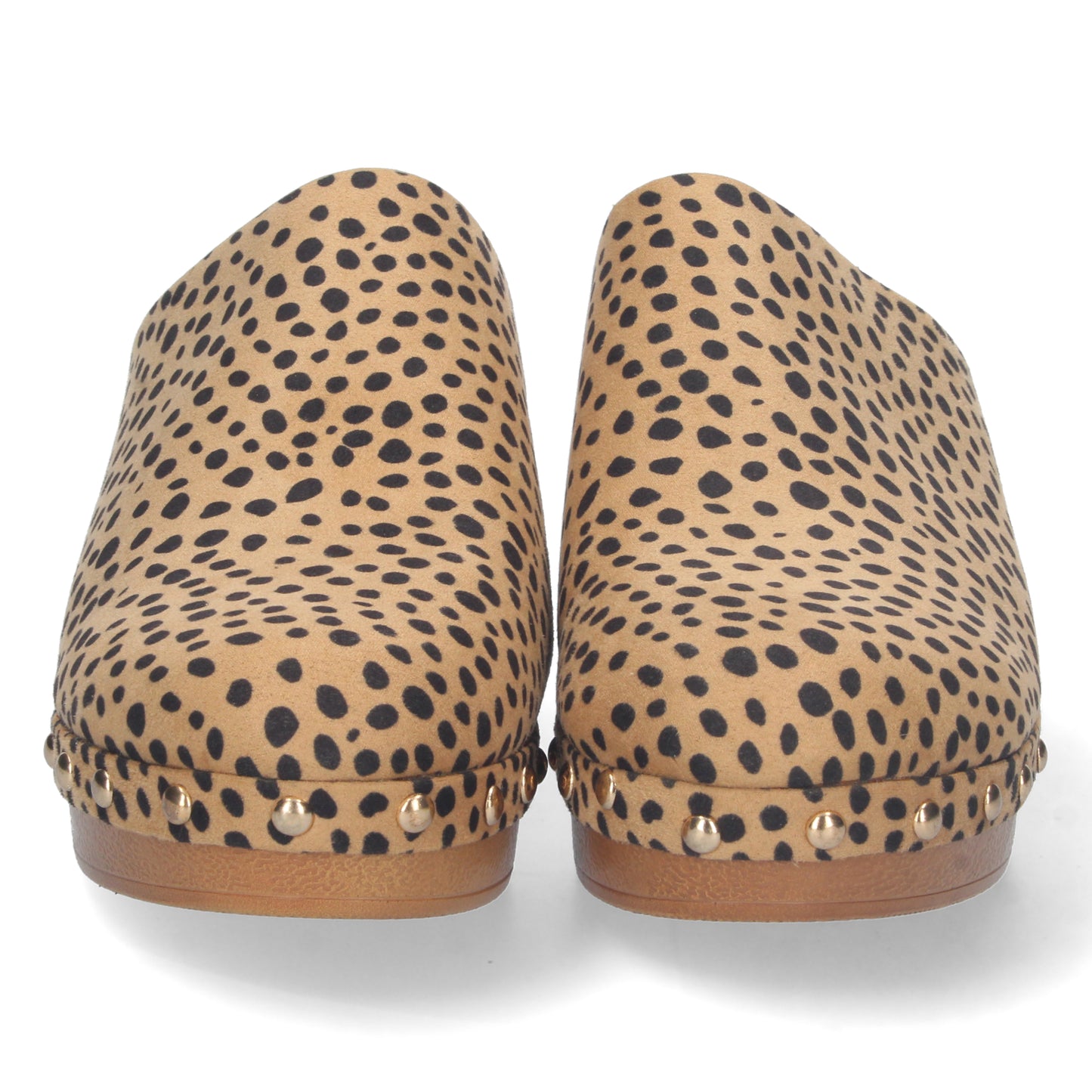 DB-2258-Leopardo