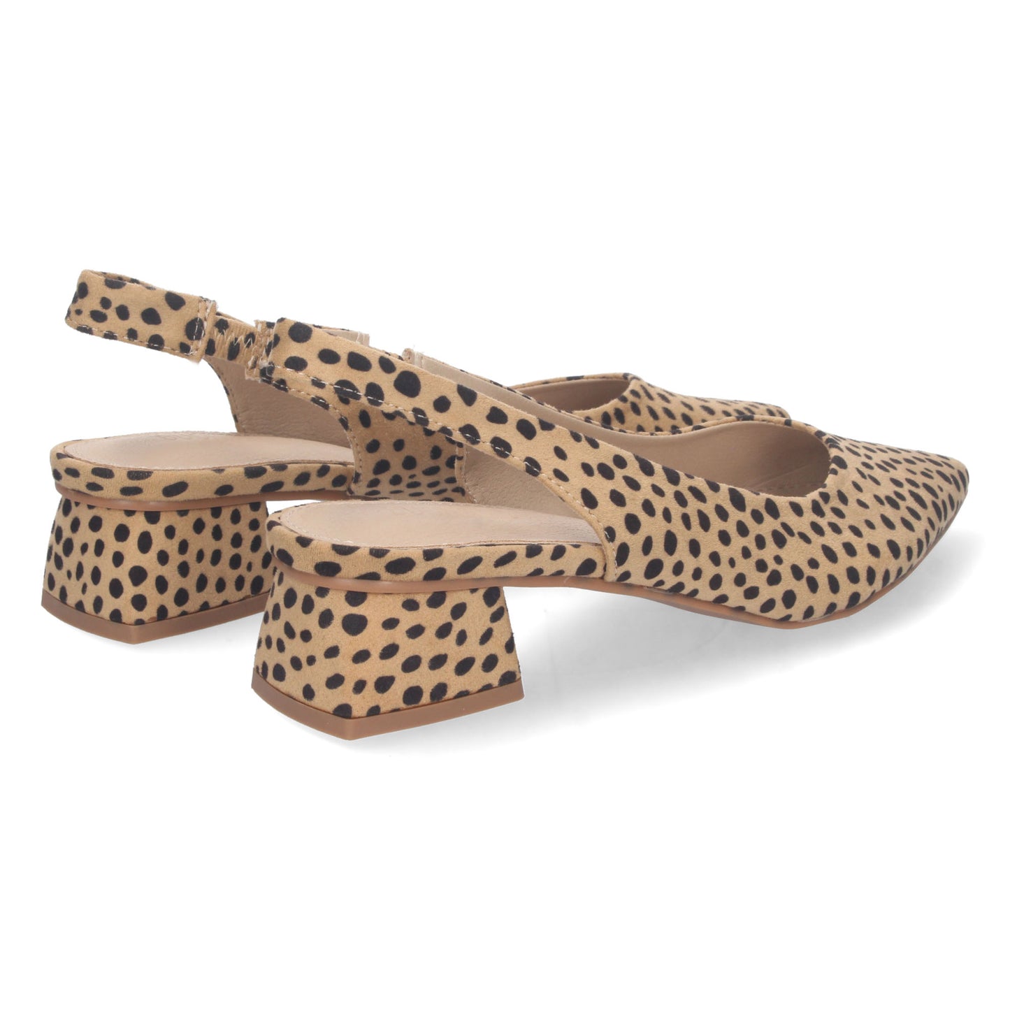 DB-2360-Leopardo