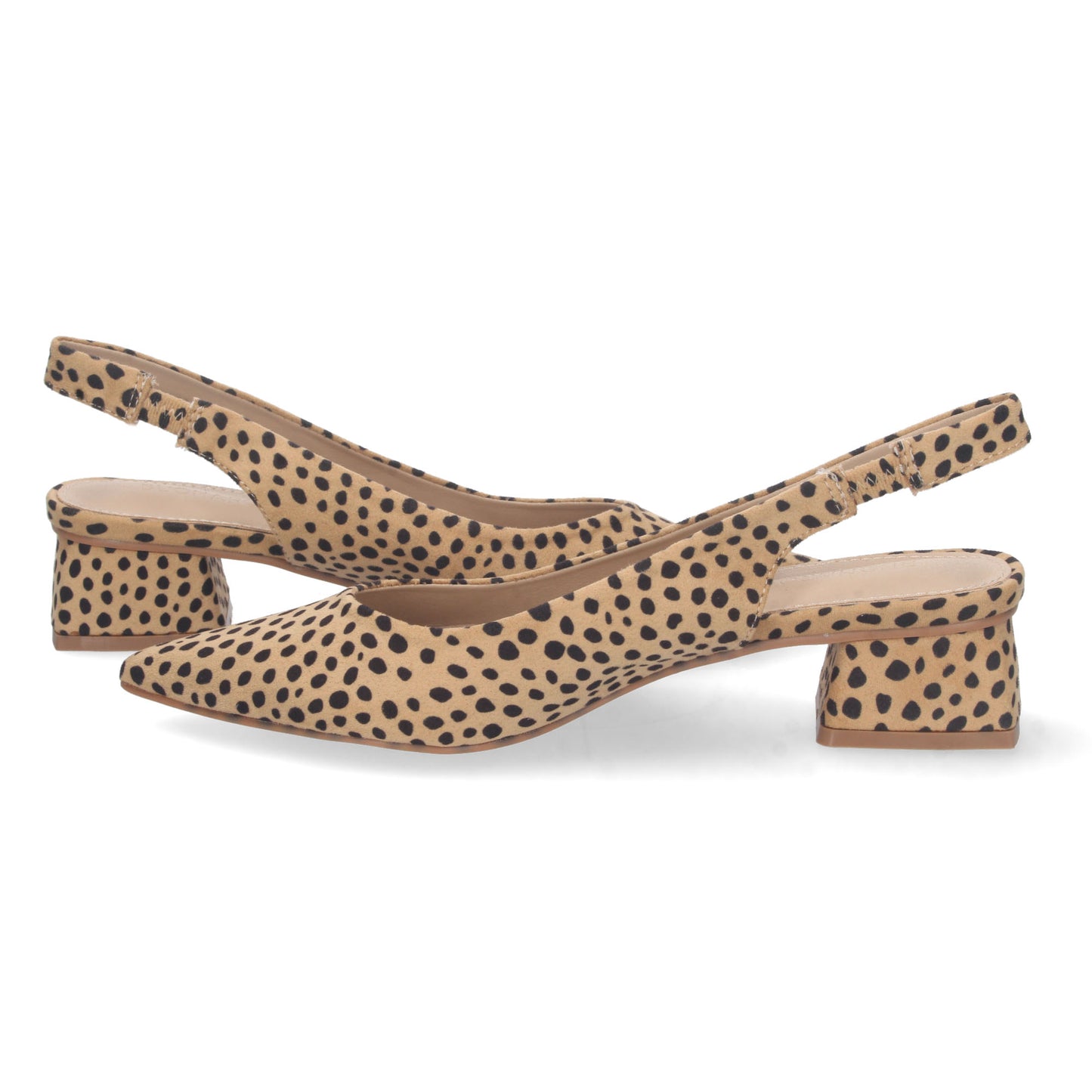 DB-2360-Leopardo