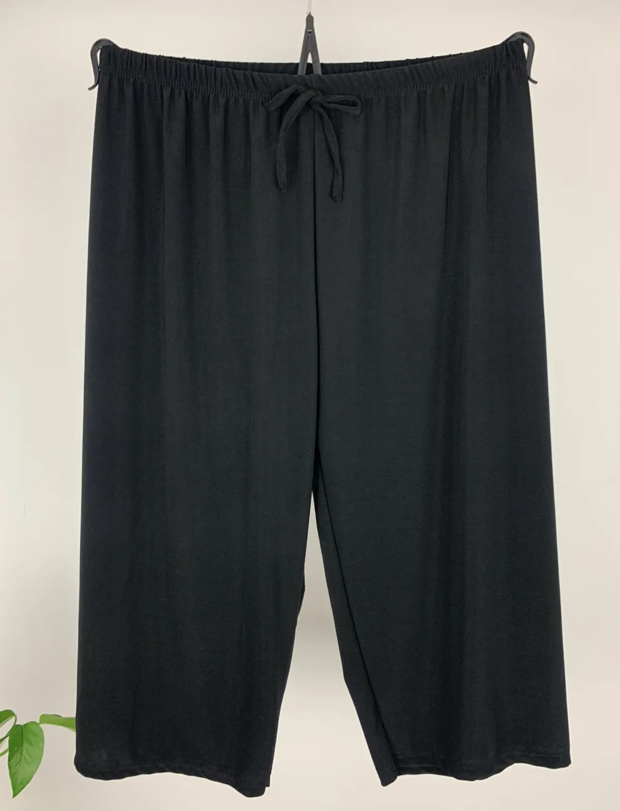 Pirata curvy
